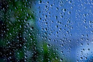 Services Publics d'Eau